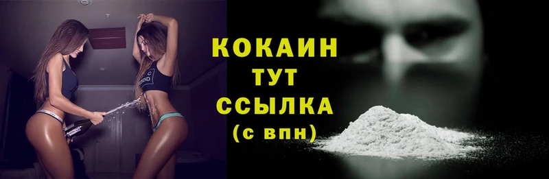 Cocaine Fish Scale  сайты даркнета клад  Михайловск  купить наркотик 